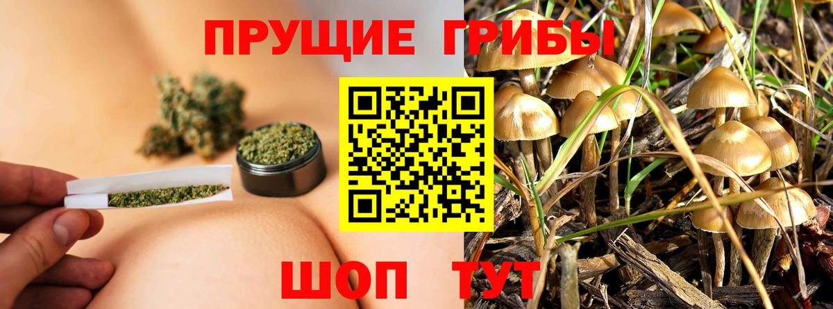 Псилоцибиновые грибы ЛСД Зеленокумск