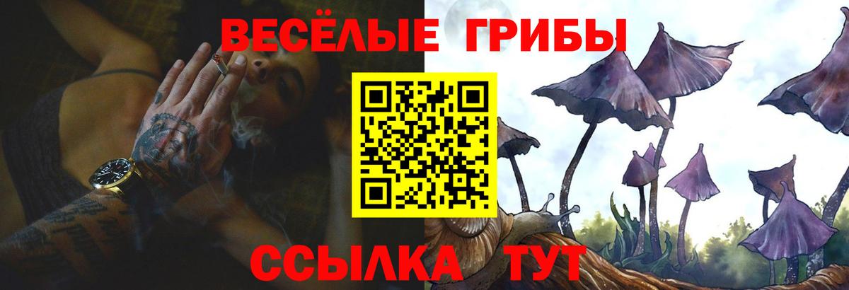 Галлюциногенные грибы мицелий  сколько стоит  Зеленокумск  Вход с VPN 